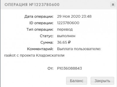 PAYEER  История - Google Chrome.jpg